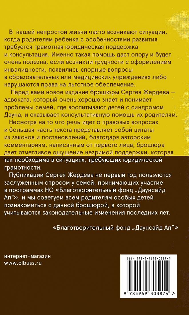 Помощь детям-инвалидам. Права, льготы и юридическая практика — обложка